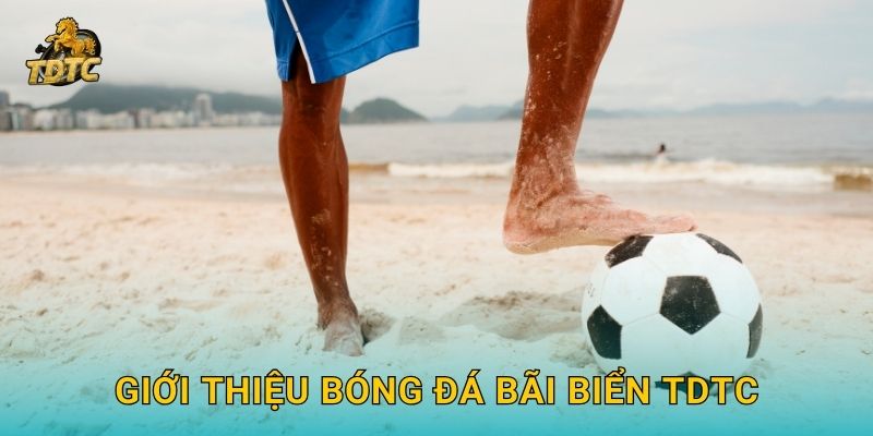 Giới thiệu Bóng đá bãi biển Tdtc