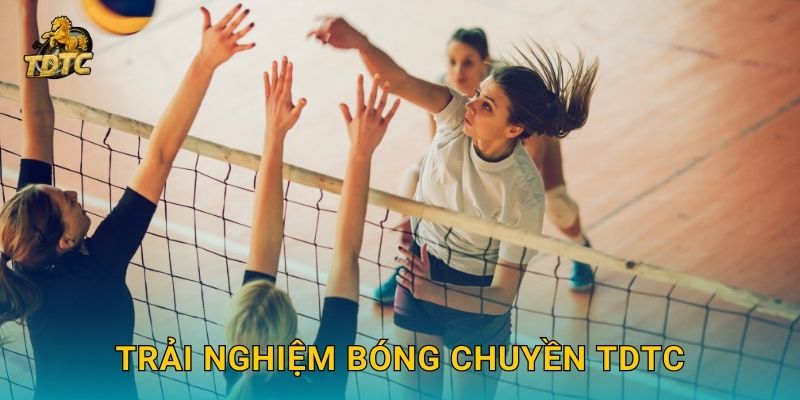 Trải nghiệm Bóng chuyền Tdtc