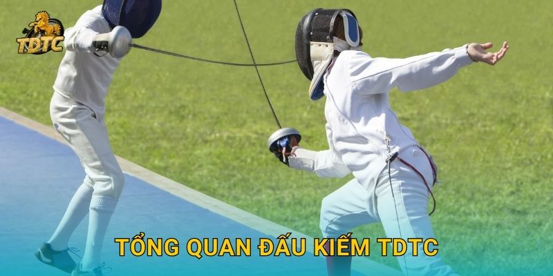 Tổng quan Đấu kiếm Tdtc